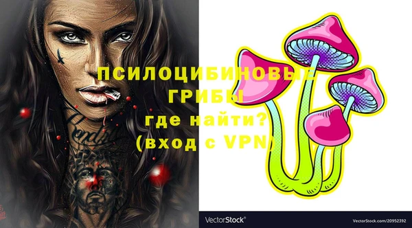 PSILOCYBIN Абдулино