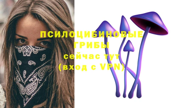 скорость Алексеевка