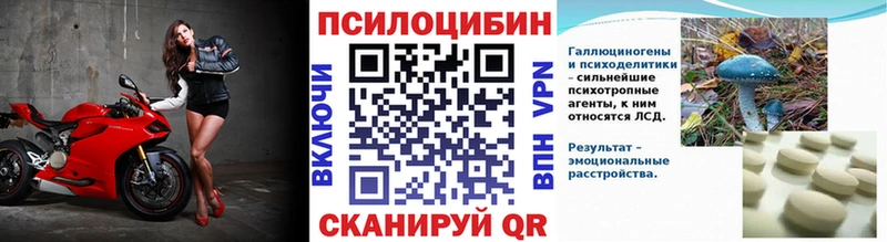 Псилоцибиновые грибы Psilocybine cubensis  как найти закладки  Отрадная 